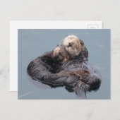 Schlafende Meeresotter Mutter und Jungfrau Postkarte (Vorne/Hinten)