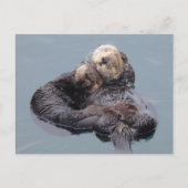 Schlafende Meeresotter Mutter und Jungfrau Postkarte (Vorderseite)