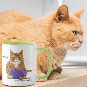 Schlafende Orange-Gelb-Katze-Kaffee-Grün-Purple Tasse