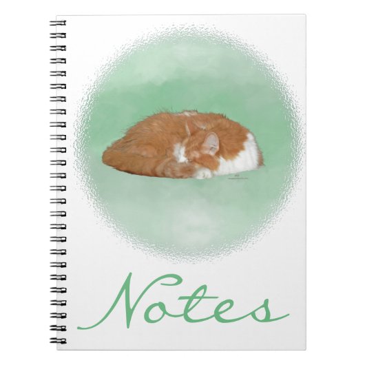 Schlafende orange Katze Notizblock (Vorderseite)