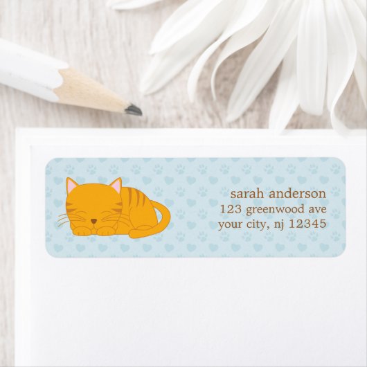 Schlafende Orange Tabby Cat (Insitu)