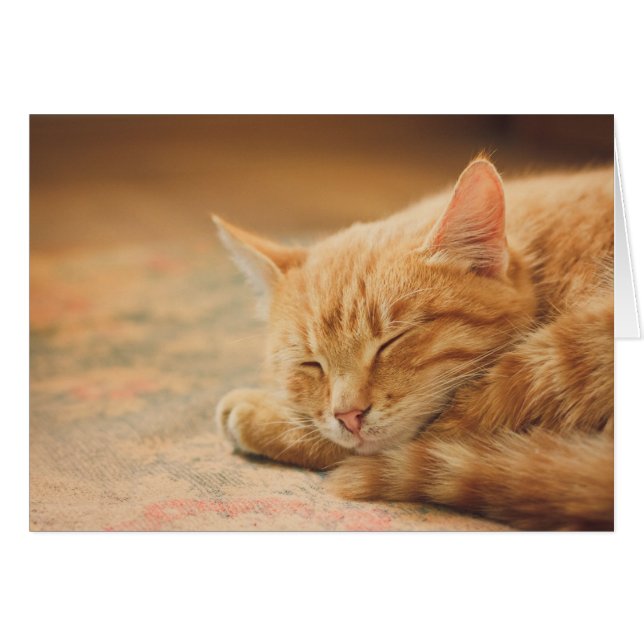 Schlafende Orange Tabby Cat (Vorderseite (Horizontal))