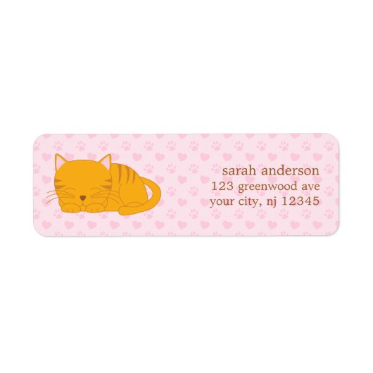 Schlafende Orange Tabby Cat (Vorne)