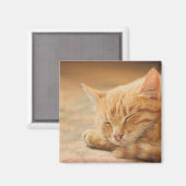 Schlafende Orange Tabby Cat Magnet (Vorderseite/Rückseite)