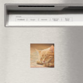 Schlafende Orange Tabby Cat Magnet (In Situ (Geschirrspüler))