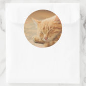 Schlafende Orange Tabby Cat Runder Aufkleber (Tasche)