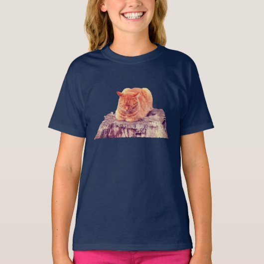 Schlafende Orange Tabby Cat T-Shirt (Vorderseite)