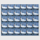 Schlafende Reflektion bei weißem Duck Geschenkpapier (Flach)