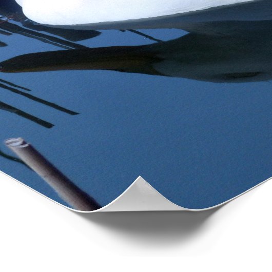 Schlafende Reflektion bei weißem Duck Poster (Ecke)