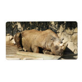 Schlafende Rhino (Vorne)