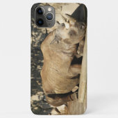 Schlafende Rhino Case-Mate iPhone Hülle (Rückseite)