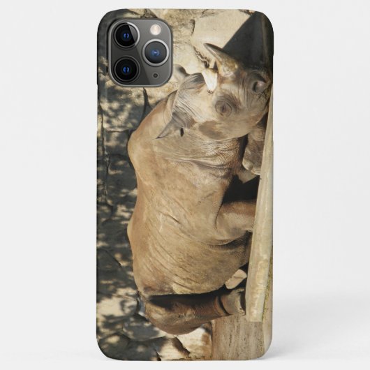 Schlafende Rhino Case-Mate iPhone Hülle (Rückseite)