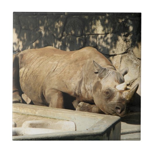 Schlafende Rhino Fliese (Vorderseite)