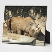 Schlafende Rhino Fotoplatte (Seite)