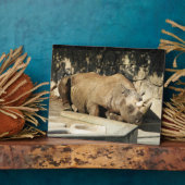 Schlafende Rhino Fotoplatte (Seite)