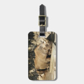 Schlafende Rhino Gepäckanhänger (Vorderseite vertikal)