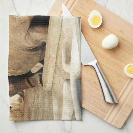 Schlafende Rhino Küchentuch (Viertel Falte)