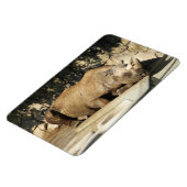 Schlafende Rhino Magnet (Linke Seite)