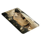 Schlafende Rhino Magnet (Rechte Seite)