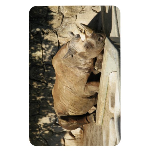 Schlafende Rhino Magnet (Vertikal)
