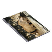 Schlafende Rhino Notizblock (Rechte Seite)