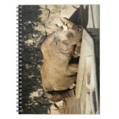 Schlafende Rhino Notizblock (Vorderseite)