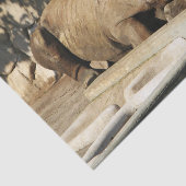 Schlafende Rhino Seidenpapier (Ausschnitt)