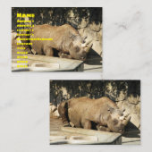 Schlafende Rhino Visitenkarte (Vorne/Hinten)
