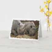 Schlafende Rhinos Grußkarte Karte (Gelbe Blume)