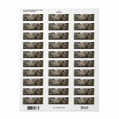 Schlafende Rhinos Mailing Labels (Vorne)