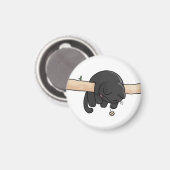 Schlafende schwarze Katze Niedlich Magnet (Vorderseite/Rückseite)
