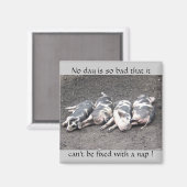 Schlafende Schweine Magnet (Vorderseite/Rückseite)