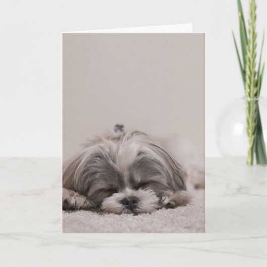 Schlafende Shih tzu Grußkarte, schlafender Hund Karte (Vorderseite)
