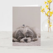 Schlafende Shih tzu Grußkarte, schlafender Hund Karte (Gelbe Blume)