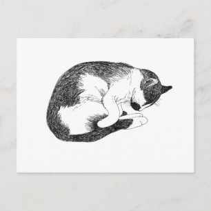 Schlafende Smoking-Katze Schwarz-Weiß-Zeichnung Postkarte