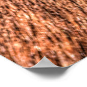 Schlafende Sorrel Horse Eye and Lashes Foto Poster (Ecke)