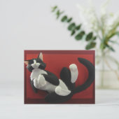 Schlafende Tuxedo Katze Postkarte (Stehend Vorderseite)