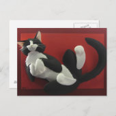Schlafende Tuxedo Katze Postkarte (Vorne/Hinten)