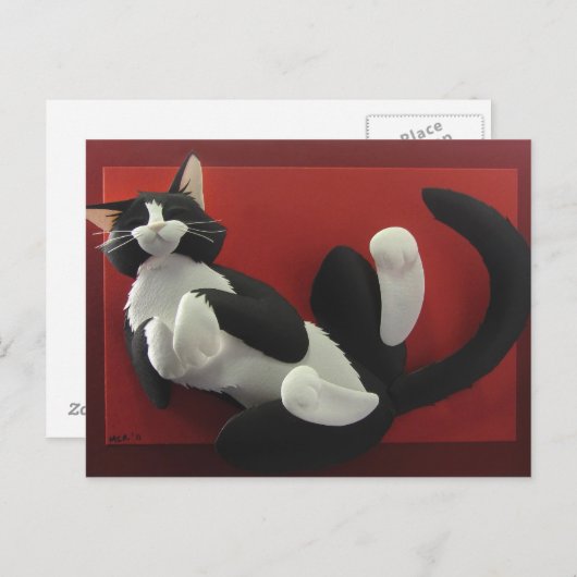 Schlafende Tuxedo Katze Postkarte (Vorne/Hinten)