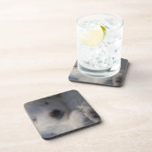 Schlafende Untersetzer Welpe des japanischen Spitz (Rechte Seite)