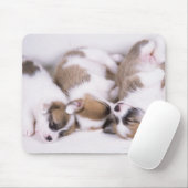 Schlafende Welpen mit Korgi Mousepad (Mit Mouse)