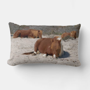 Schlafende wilde Ponys im Assateague National Park Lendenkissen