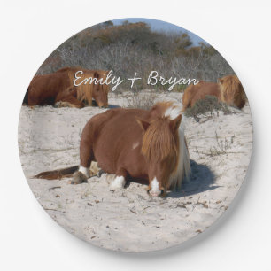 Schlafende wilde Ponys im Assateague National Park Pappteller