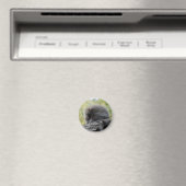 Schlafender Baumstachler Magnet (In Situ (Geschirrspüler))
