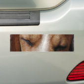 Schlafender Beagle-Autoaufkleber Autoaufkleber (Auf Auto)