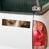 Schlafender Beagle-Autoaufkleber Autoaufkleber (Auf Lkw)