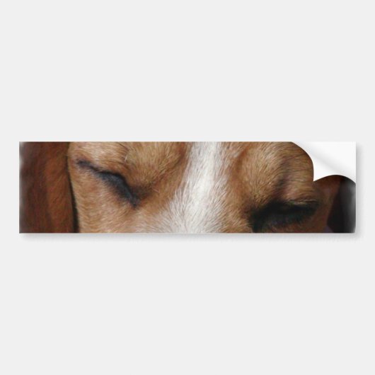 Schlafender Beagle-Autoaufkleber Autoaufkleber (Vorne)