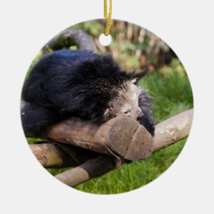 Schlafender Binturong Keramikornament