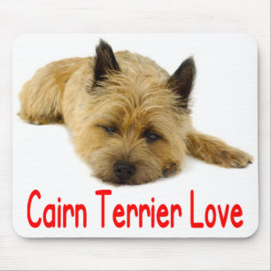Schlafender Cairn Terrier Welpe Hund Liebe Mauspad