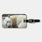 Schlafender Eisbär Gepäckanhänger (Vorderseite horizontal)